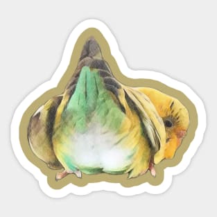 parrot butt Sticker